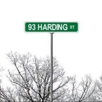 93 Harding, Picture