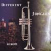 Jeff Elliott, CD titled, Different Jungles