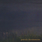 Patrick Fitzsimmons, CD titled, So Beautiful So Blue