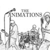 The Animations, Picture