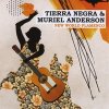 Tierra Negra and Muriel Anderson, CD titled, New World Flamenco