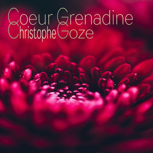 Christophe Goze, song titled, Coeur Grenadine