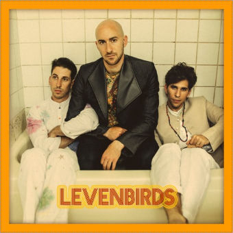 Levenbirds, song titled, SJW MX2