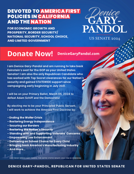 Senatorial Candidate Denise Gary-Pandol. Learn More at www.denicegarypandol.com or GoPandol.com