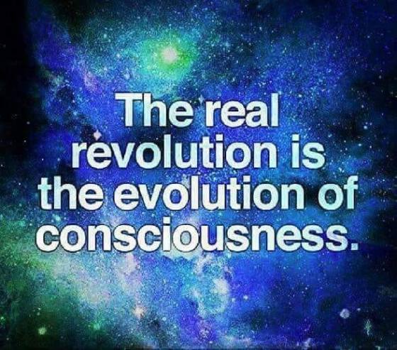 The real revolution is the evolution of consciousness