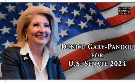  Senatorial Candidate Denise Gary-Pandol For Colorado Senator