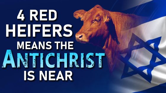 4 Red Heifers Mean the Antichrist is Near