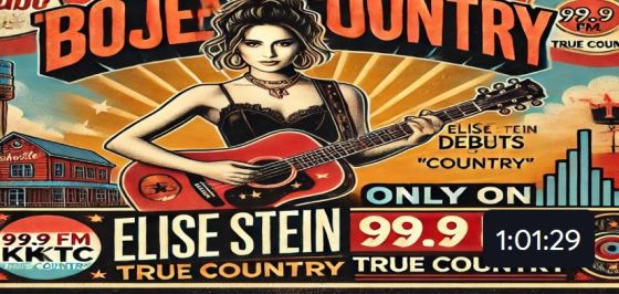 The Power of Country Music in Shaping Social and Legal Issues - The Hostile Zone