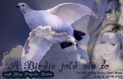 A Birdie told me so... with Robin Hoffmann, banner