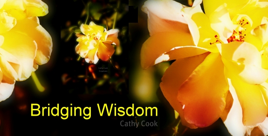 Bridging Wisdom with Cathy Cook