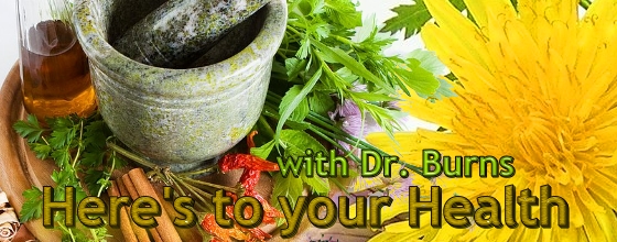 Here's to your Health with Dr. Burns & special co-host Elsa, banner