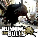 Steve Berrey, Running the Bulls image