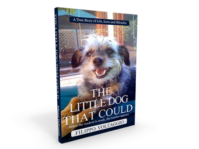 The Little Dog That Could