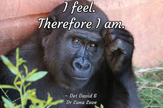 Universal Soul Love Quote - I feel. Therefore I am.