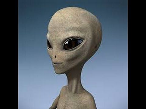 Zeta Reticuli Grey Alien